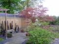 acer palmatum red pygmy