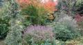 Le jardin en automne