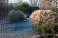 Le jardin en hiver